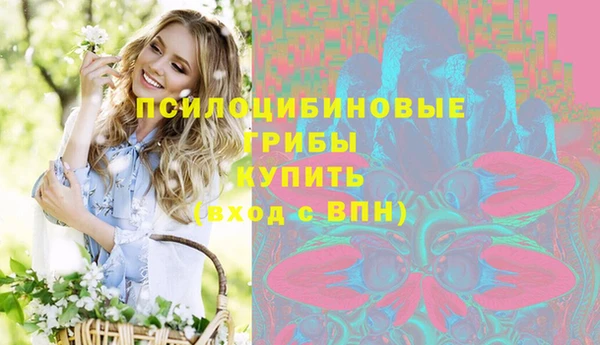 амф Арсеньев